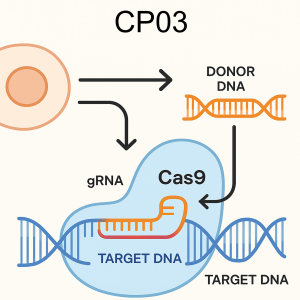 High concentration Cas9 protein with NLS for large-scale CRISPR genome editing