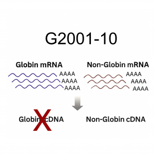 Set of 4 large-scale PNA oligos to block human globin for RNA-seq, 10 nmole total for high-throughput blood transcriptomics