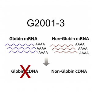 Set of 4 human globin PNA blocking oligos, 3 nmole total, for improved RNA-seq transcript coverage
