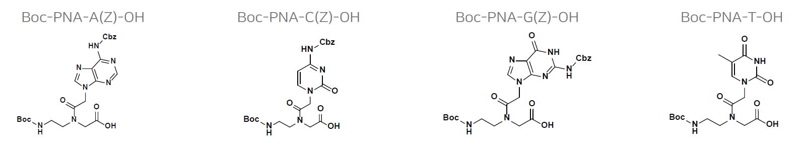 PNA monomers for peptide nucleic acid research – PNA Bio