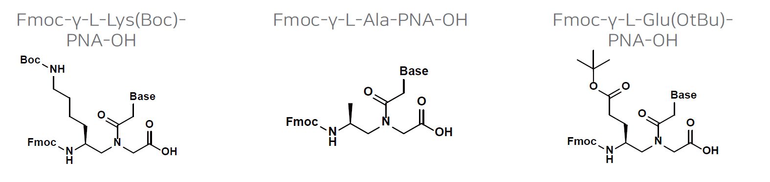 Fmoc Gamma PNA monomers