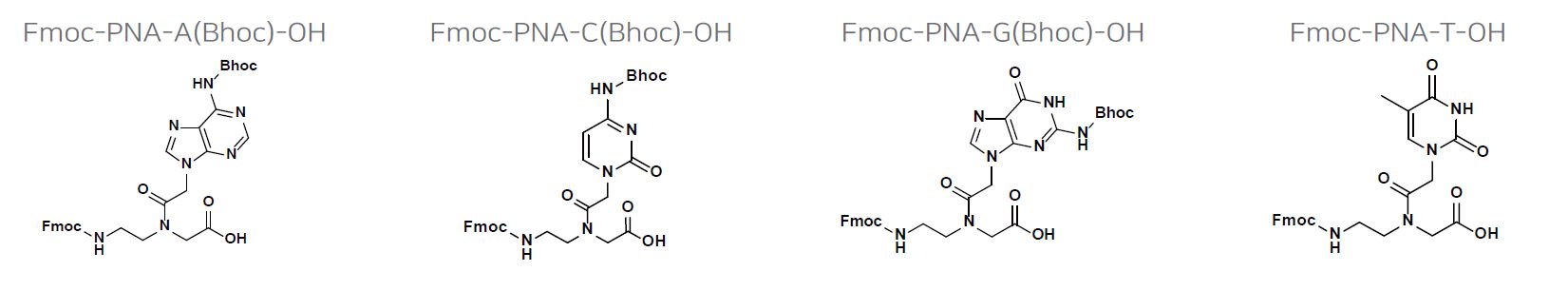 High-quality PNA monomers for oligo synthesis – PNA Bio