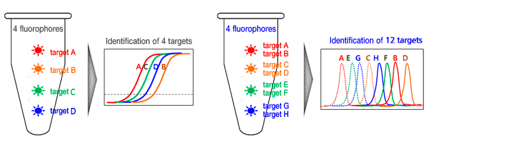detection_content Reliable MutyperR kit for research applications – PNA Bio